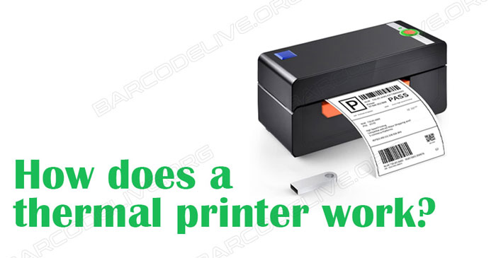 How Does A Thermal Printer Work? [A Detailed Tutorial]