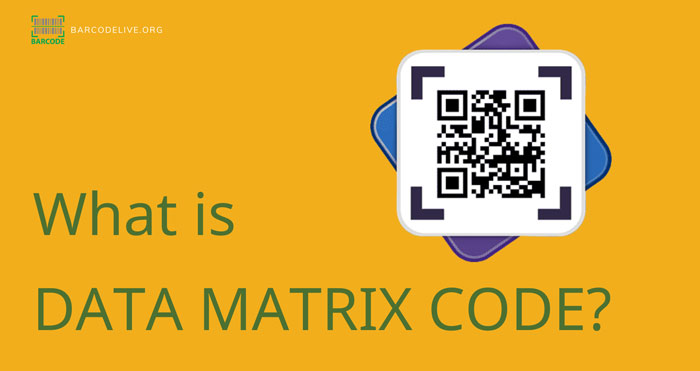 Understanding a data matrix code