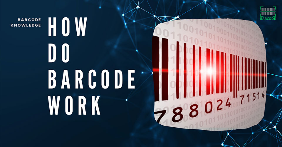 How do barcodes work? Facts retail store owner should know