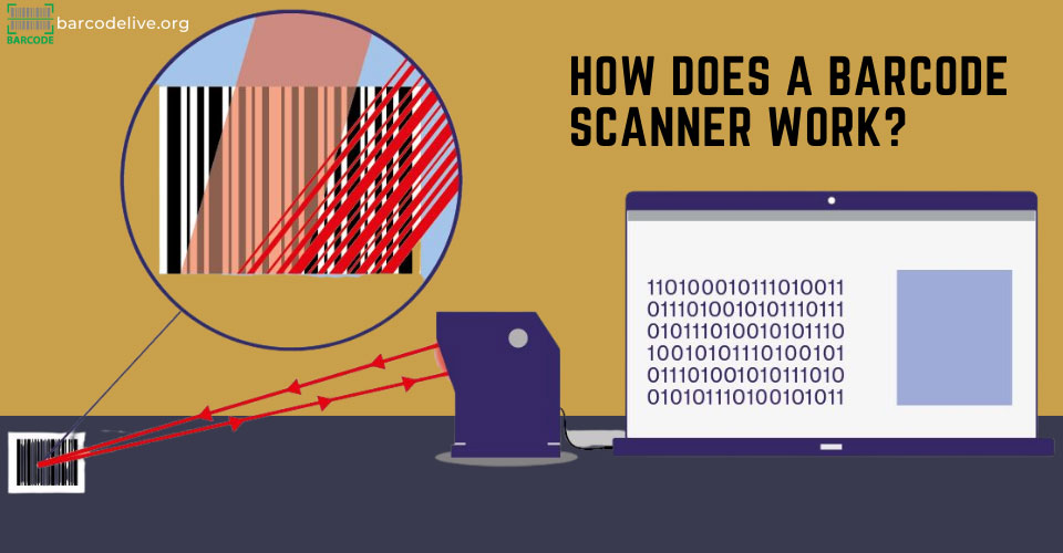 How does a barcode scanner work? Types of Barcode Scanners