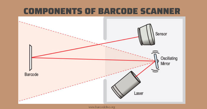 How Does A Barcode Scanner Work Things You Need To Know 4390