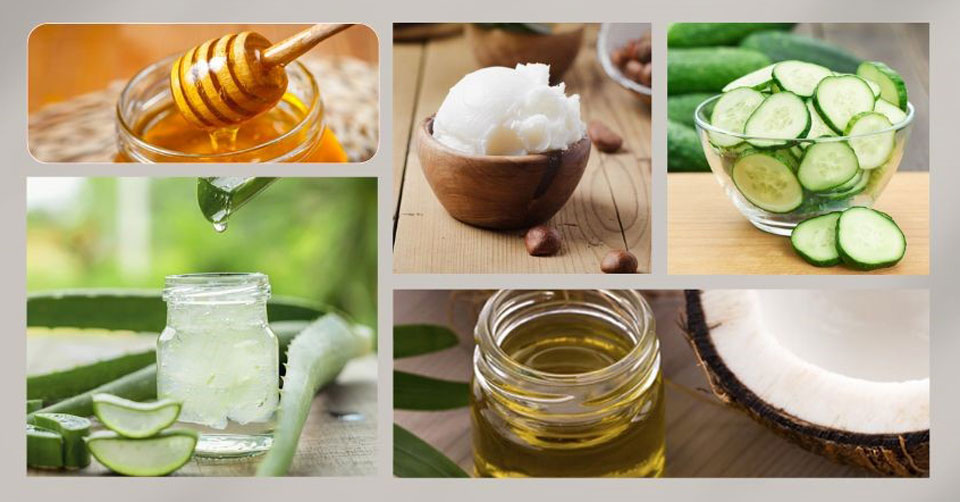 5 Effective Ingredients To Help Moisturize Skin [NATURALLY]