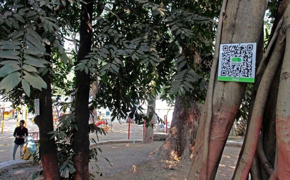 QR codes are put up on trees