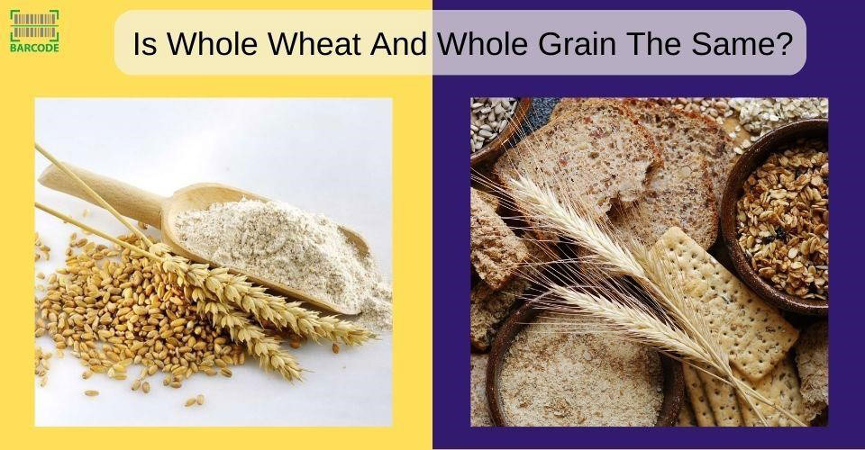 Is whole wheat and whole grain the same thing?