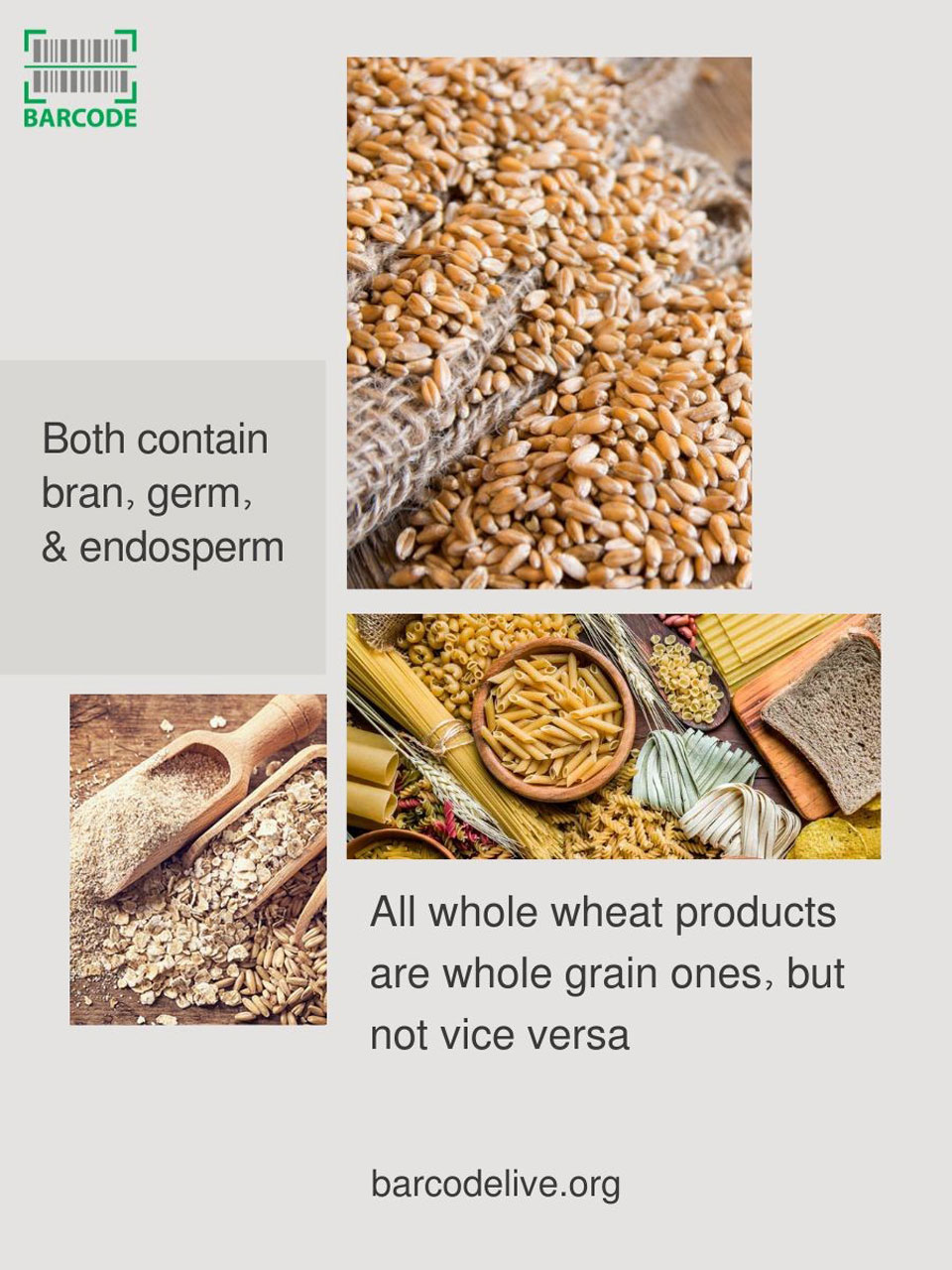 Whole wheat whole grain comparison