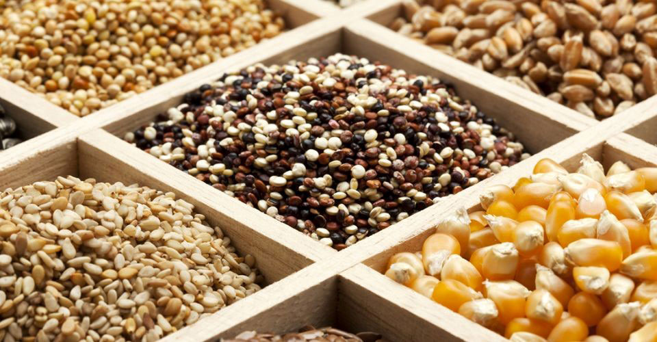 Whole grain is healthier than whole wheat