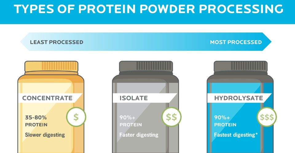 3 types of whey proteins