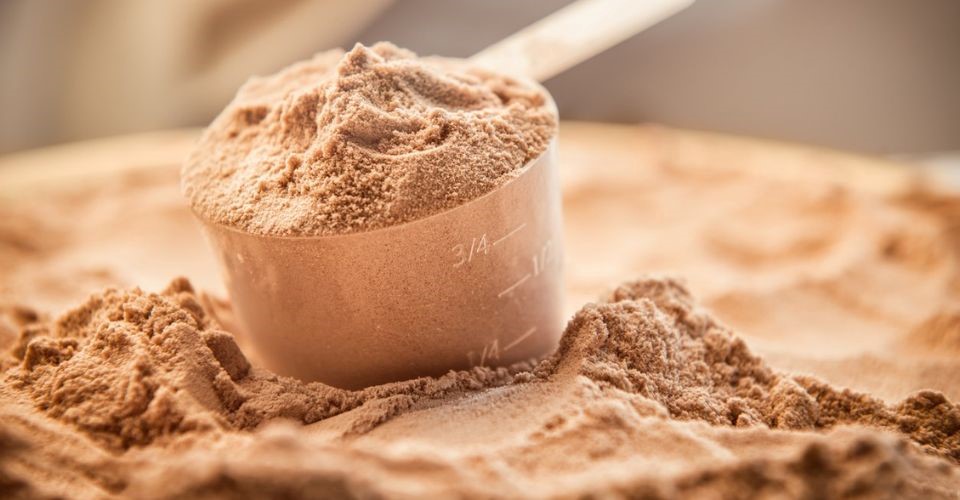 Whey protein dosage for adults