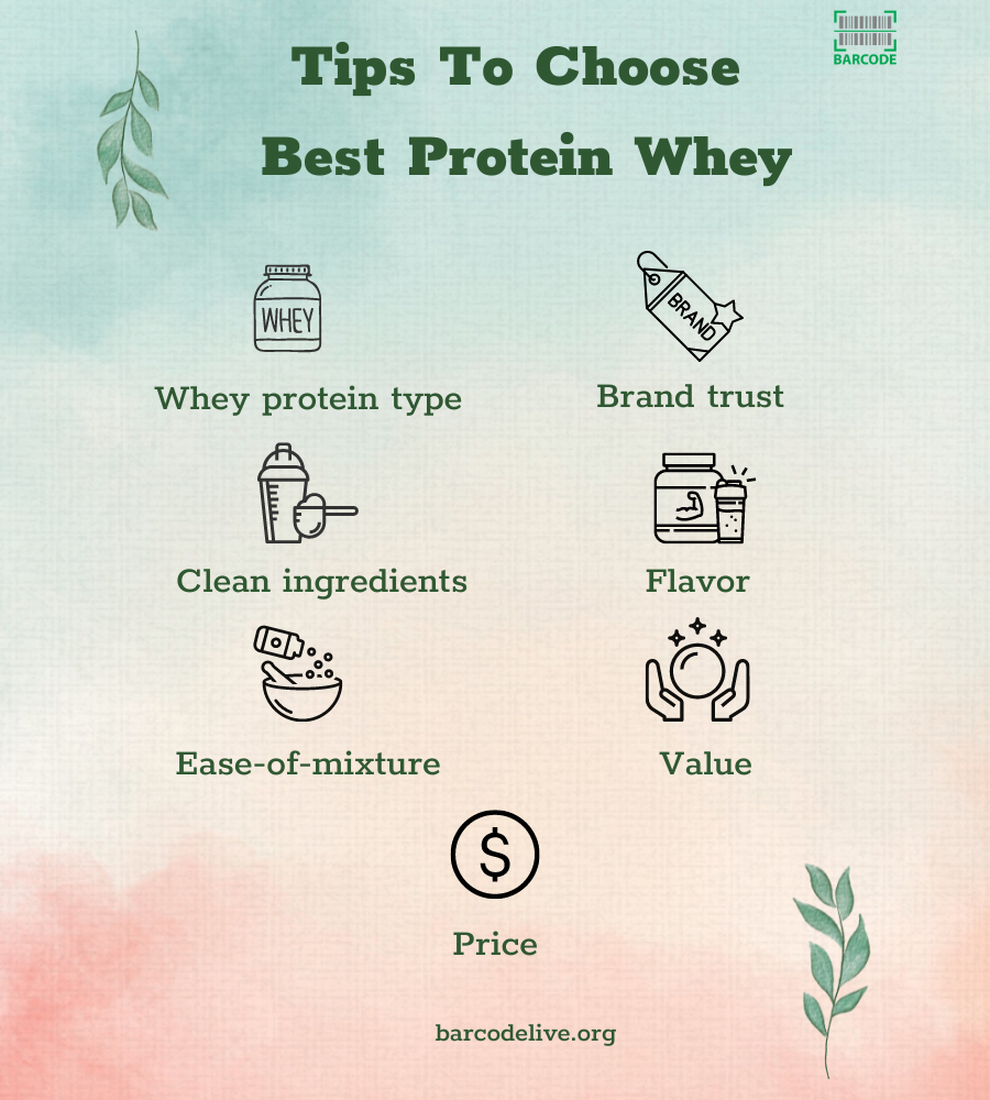 A guide on how to get the best protein whey
