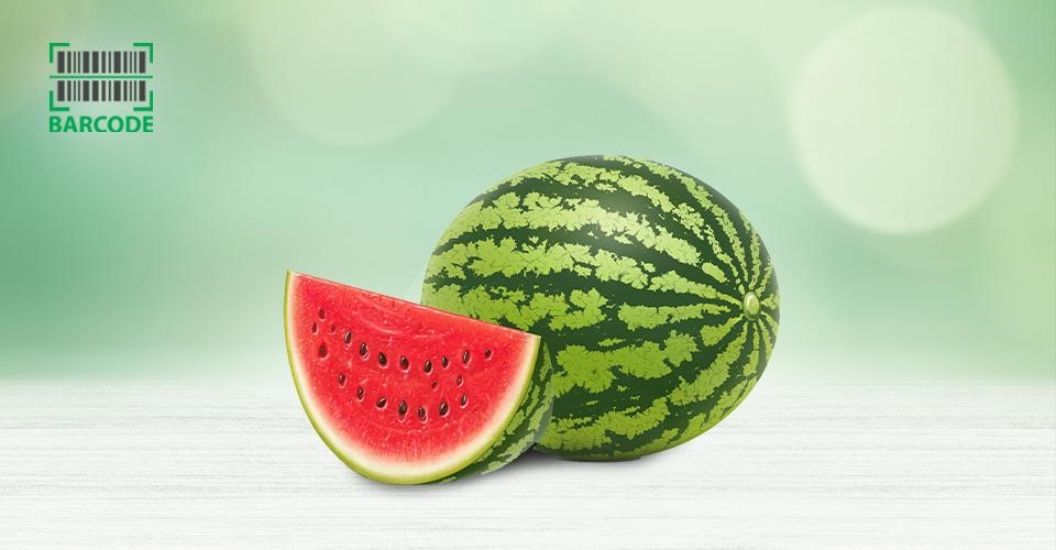 Watermelon contains a large percentage of lycopene