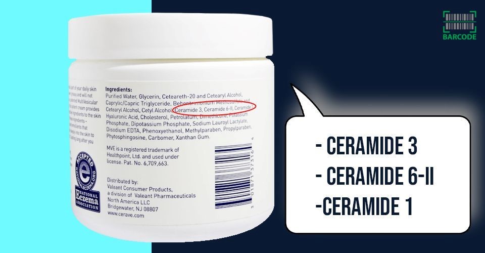 Ceramide ingredients