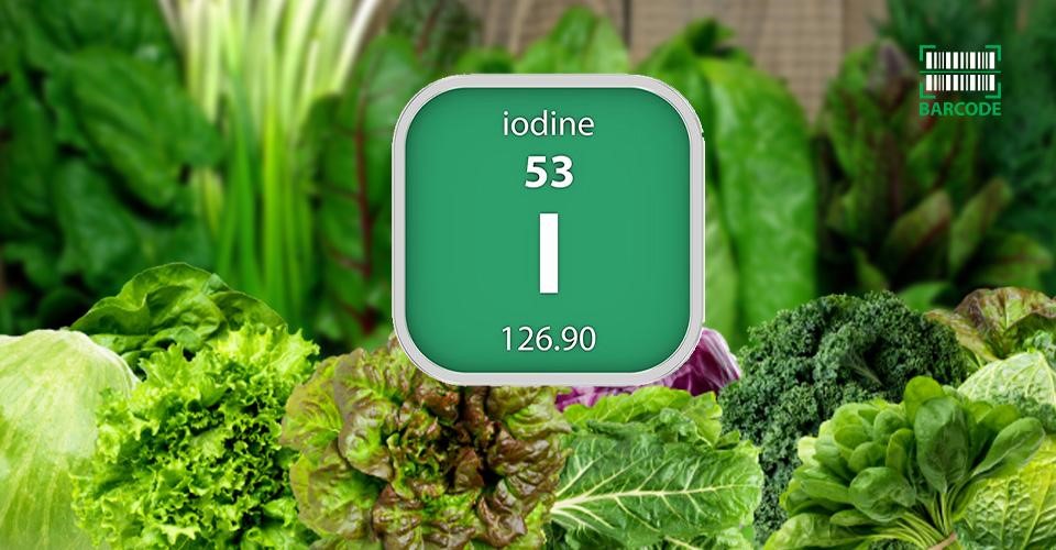 Leafy greens are ideal iodine foods vegan