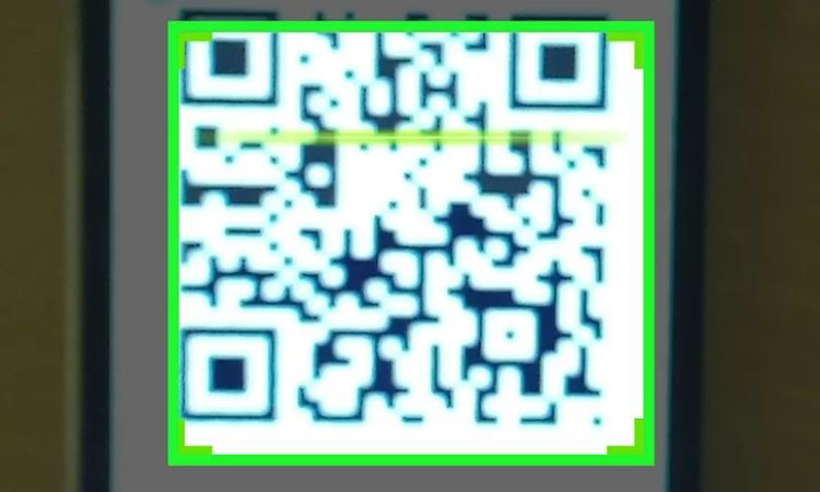 Line up the QR code in the camera view frame