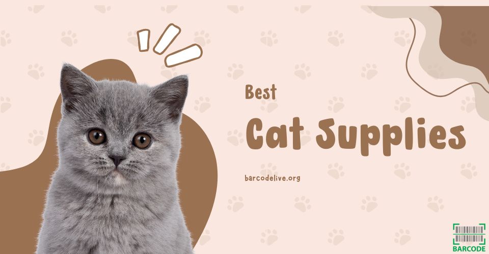 Best Cat Supplies Every Cat Owner Should Own: A Comprehensive Checklist
