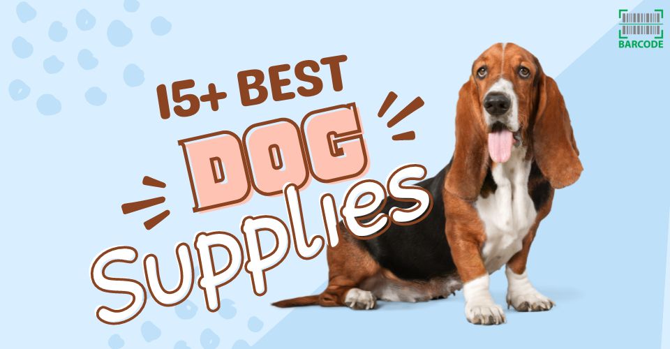 15+ Best Dog Supplies: Best Tech Essentials & Accessories for Your Dog