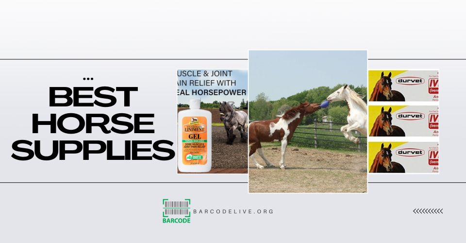 9+ Best Horse Supplies On Amazon: Horse Health & Accessories Supplies