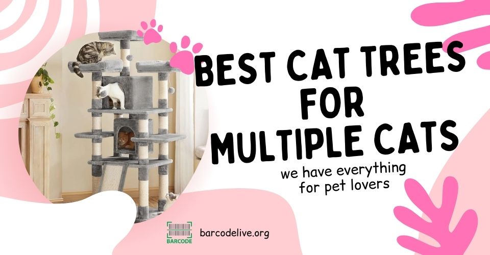Best cat trees for multiple cats to play all day: Start from $30