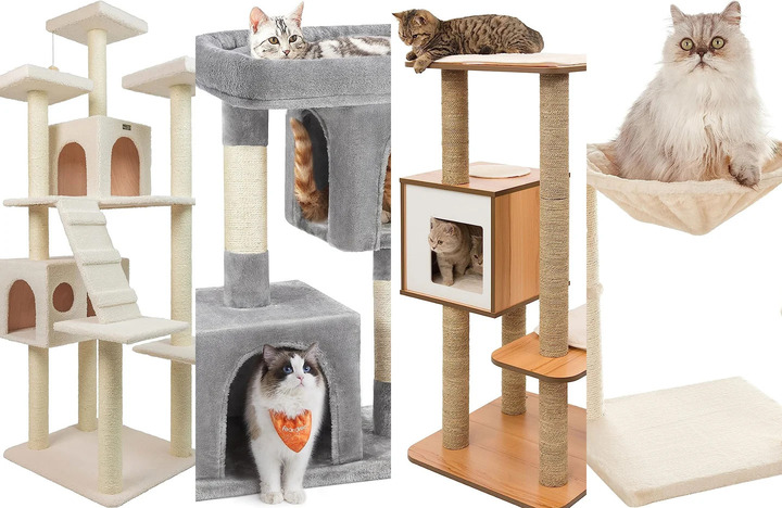 Consider different criteria to choose the best cat tree for multiple cats