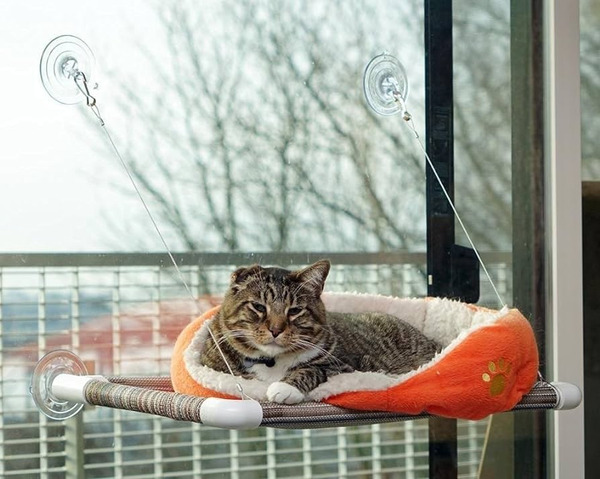 Choosing the best cat window perch