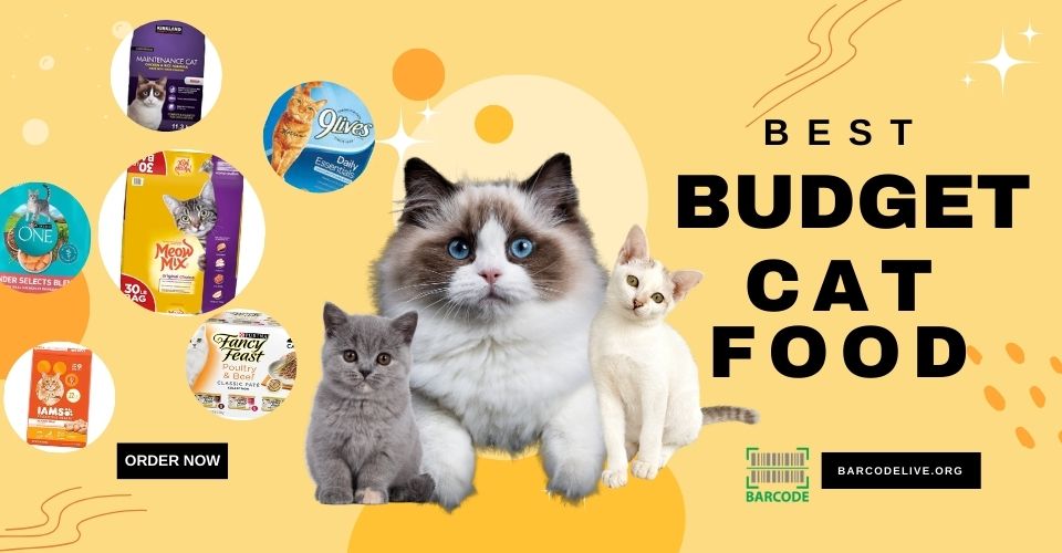 10+ Best Budget Cat Food From $20 -$30 With High-Quality Nutrition