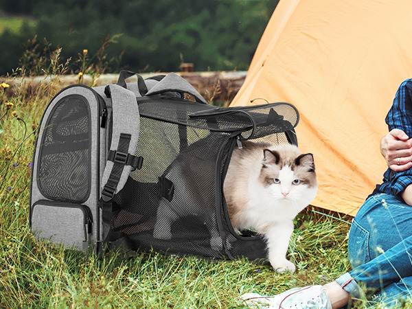 Choosing the best cat carrier backpack