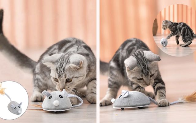 Reasons to offer the best cat toys