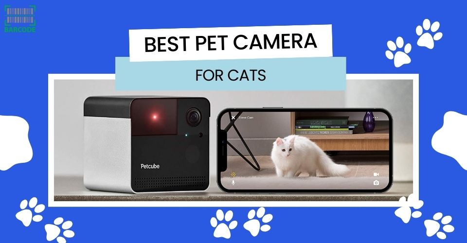 Best Pet Camera for Cats That Is Worth Your Money | Both Indoor & Outdoor