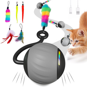 WAKHJAKT Interactive Cat Toys