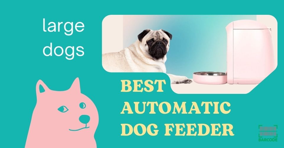 Best Automatic Dog Feeder for Large Dogs 2024 | NO More Hungry Hound