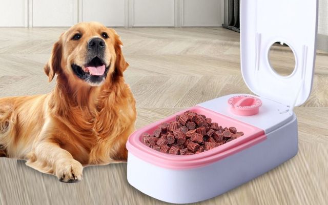 Automatic feeders are beneficial to your pets
