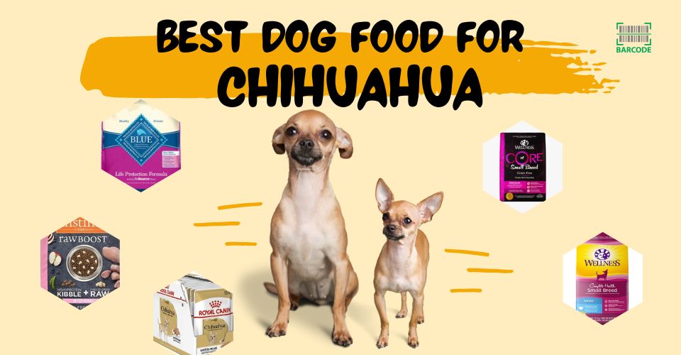 10 Best Dog Food For Chihuahua: According To Vet Reviews & Guide