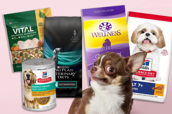 Choosing the complete and balanced diet for Chiahuahua