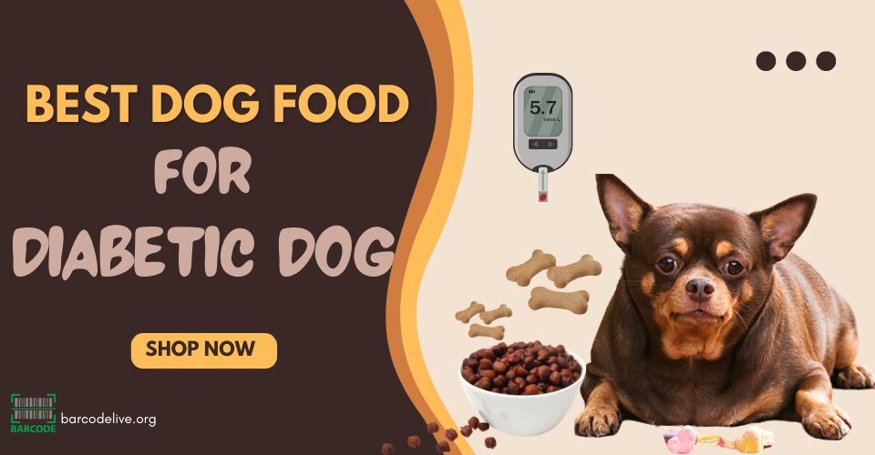Find out the best dog food to control blood sugar level