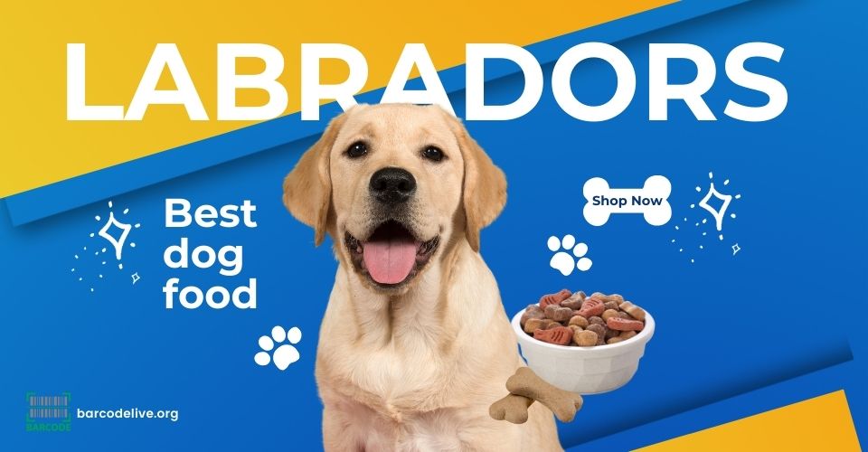 Best dog food for Labradors 