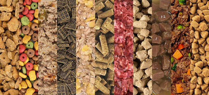 What to consider about dog foods?