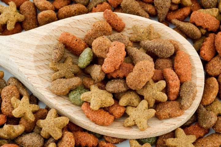 Necessary nutritions in the dog food for Labs