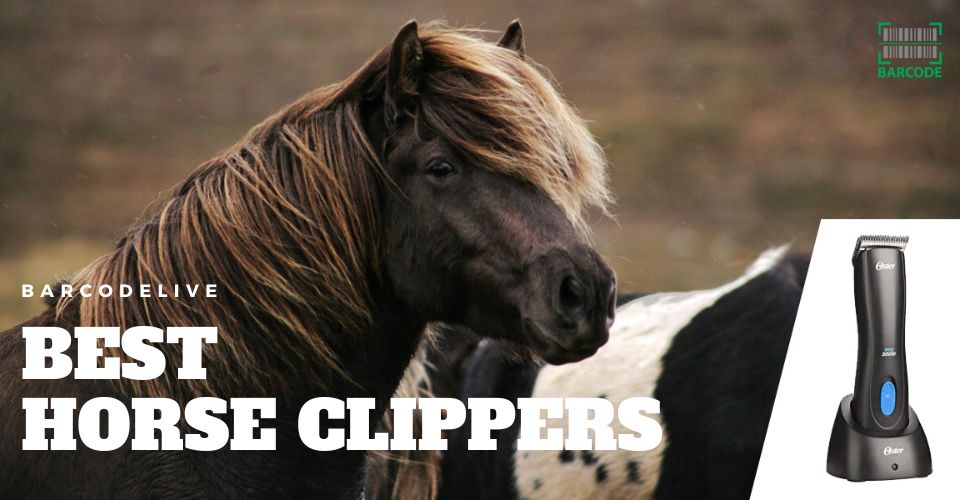 Best horse clippers for body clipping