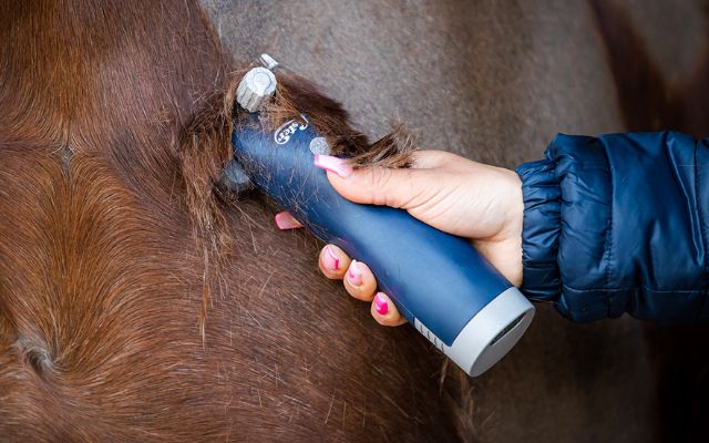 Reasons you need the best body clippers for horses