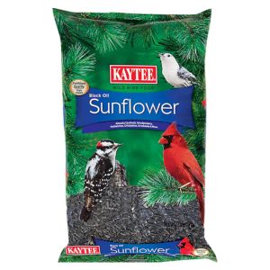Kaytee Wild Bird Black Oil Sunflower Food