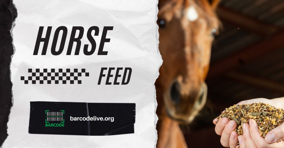 The best feed for horses