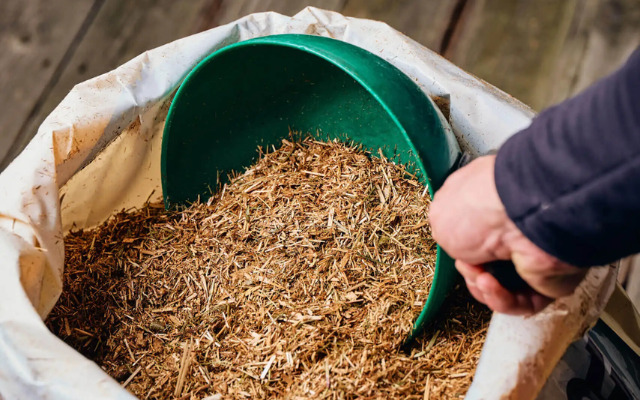 What is the best feed for horses?