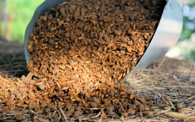 Tips to select the best complete feed for horses