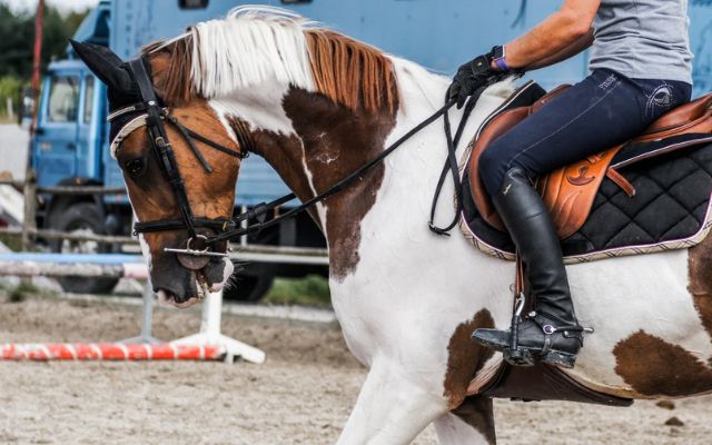 Tips to Buy the Best Horse Riding Boots
