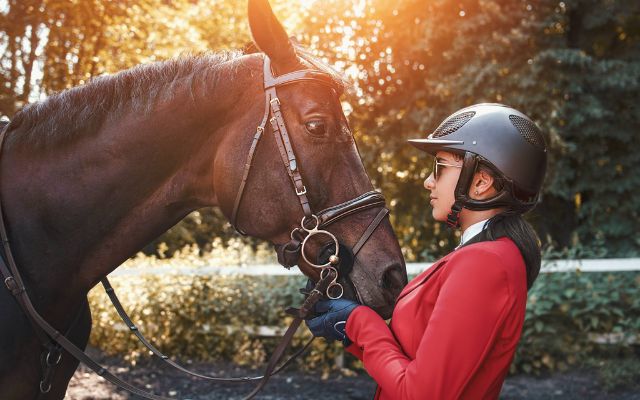 Tips to buy the best horse helmet