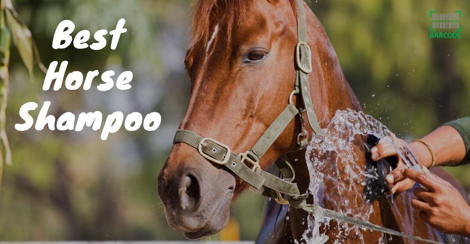 What are the best horse shampoos and conditioners?