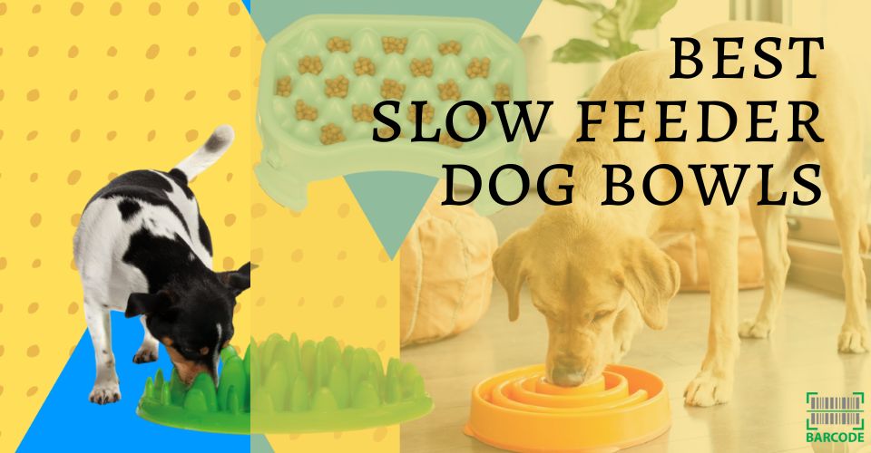 Best slow eating dog bowls