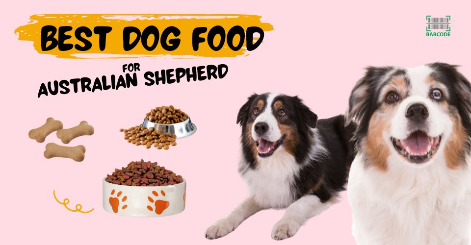 Best dog food for the Australian Shepherds
