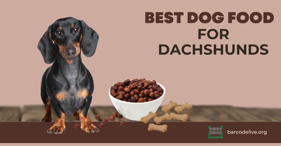 Look for bes dog food for Dachshunds