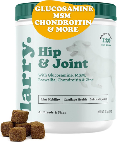 Dog Hip and Joint Supplement by Larry