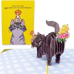 Dirty Pop Cards - Purr-fect 3D Farting Confetti Funny Card